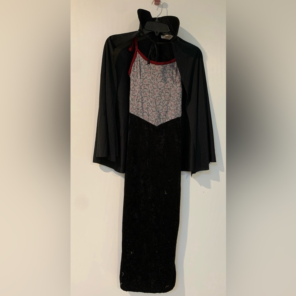 Vampire or Witch Costume